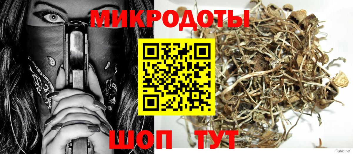 Псилоцибиновые грибы Cubensis Шатура